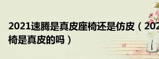 2021速腾是真皮座椅还是仿皮（2021速腾座椅是真皮的吗）