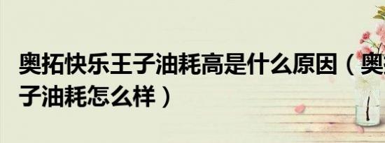 奥拓快乐王子油耗高是什么原因（奥拓快乐王子油耗怎么样）