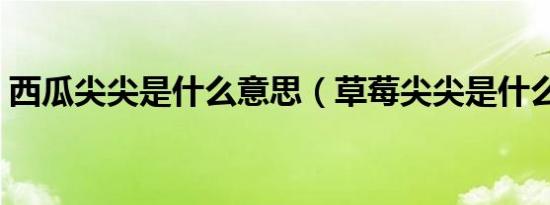 西瓜尖尖是什么意思（草莓尖尖是什么意思）