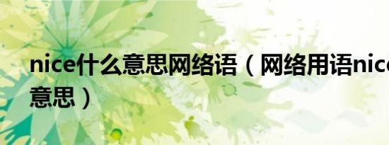 nice什么意思网络语（网络用语nice是什么意思）