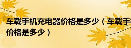 车载手机充电器价格是多少（车载手机充电器价格是多少）