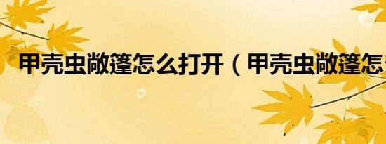 甲壳虫敞篷怎么打开（甲壳虫敞篷怎么样）