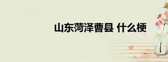 山东菏泽曹县 什么梗