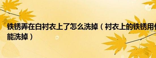铁锈弄在白衬衣上了怎么洗掉（衬衣上的铁锈用什么方法才能洗掉）