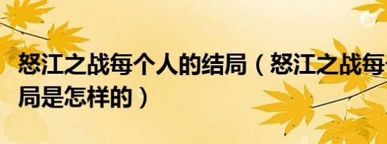 怒江之战每个人的结局（怒江之战每个人的结局是怎样的）