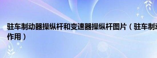 驻车制动器操纵杆和变速器操纵杆图片（驻车制动器操纵杆作用）