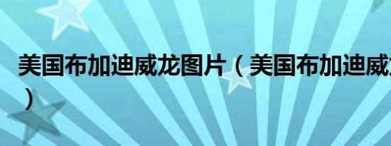 美国布加迪威龙图片（美国布加迪威龙多少钱）