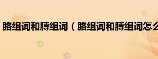 胳组词和膊组词（胳组词和膊组词怎么组词）