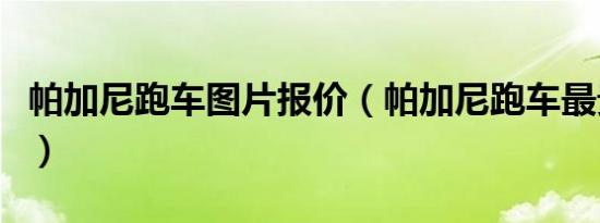 帕加尼跑车图片报价（帕加尼跑车最贵多少钱）