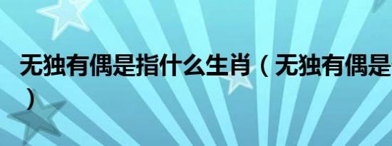 无独有偶是指什么生肖（无独有偶是什么生肖）