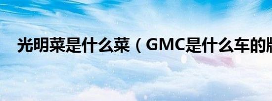 光明菜是什么菜（GMC是什么车的牌子）