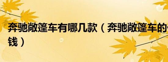 奔驰敞篷车有哪几款（奔驰敞篷车的价格多少钱）
