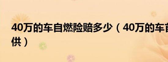 40万的车自燃险赔多少（40万的车首付与月供）