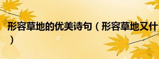 形容草地的优美诗句（形容草地又什么又什么）