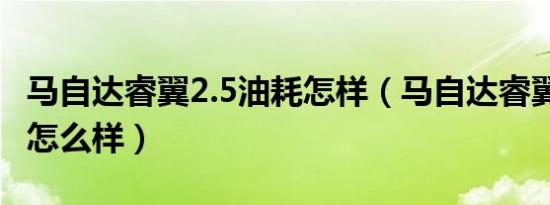马自达睿翼2.5油耗怎样（马自达睿翼2.5油耗怎么样）