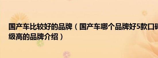 国产车比较好的品牌（国产车哪个品牌好5款口碑性价比超级高的品牌介绍）