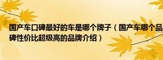 国产车口碑最好的车是哪个牌子（国产车哪个品牌好5款口碑性价比超级高的品牌介绍）