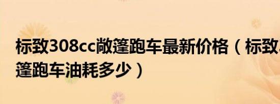 标致308cc敞篷跑车最新价格（标致308cc敞篷跑车油耗多少）
