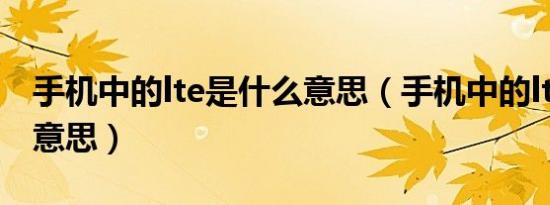 手机中的lte是什么意思（手机中的lte是什么意思）