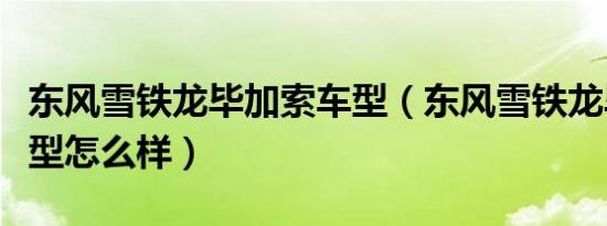 东风雪铁龙毕加索车型（东风雪铁龙毕加索车型怎么样）