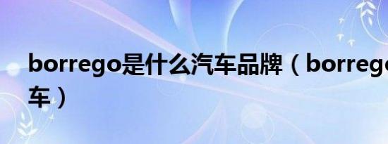 borrego是什么汽车品牌（borrego是什么车）