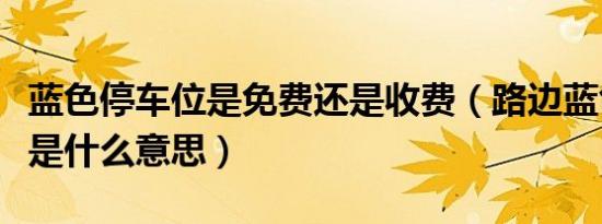 蓝色停车位是免费还是收费（路边蓝色停车位是什么意思）