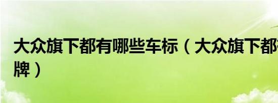 大众旗下都有哪些车标（大众旗下都有哪些品牌）