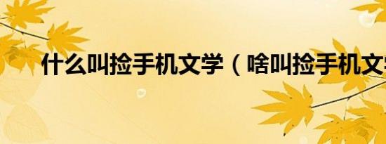 什么叫捡手机文学（啥叫捡手机文学）