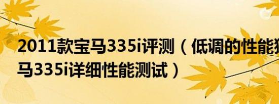 2011款宝马335i评测（低调的性能猛兽！宝马335i详细性能测试）