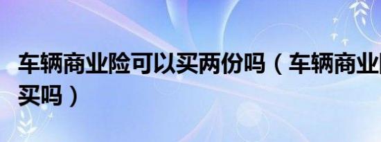 车辆商业险可以买两份吗（车辆商业险可以不买吗）