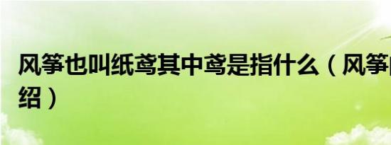 风筝也叫纸鸢其中鸢是指什么（风筝的由来介绍）