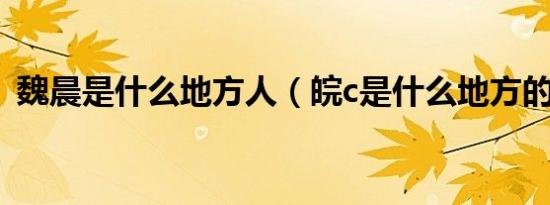 魏晨是什么地方人（皖c是什么地方的车牌）