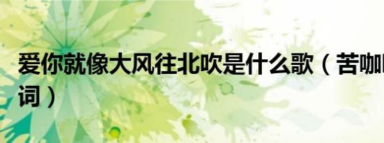 爱你就像大风往北吹是什么歌（苦咖啡完整歌词）