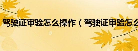 驾驶证审验怎么操作（驾驶证审验怎么查询）