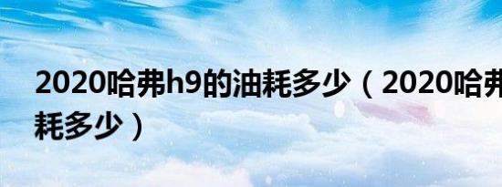 2020哈弗h9的油耗多少（2020哈弗h9的油耗多少）