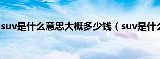 suv是什么意思大概多少钱（suv是什么意思）