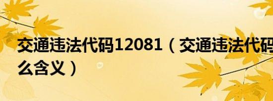 交通违法代码12081（交通违法代码1208什么含义）