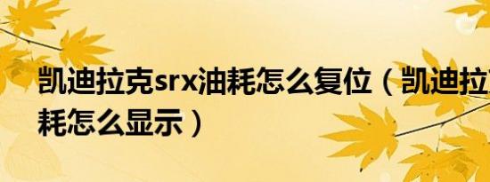 凯迪拉克srx油耗怎么复位（凯迪拉克srx油耗怎么显示）