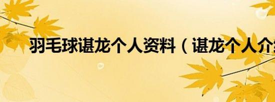 羽毛球谌龙个人资料（谌龙个人介绍）