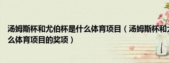汤姆斯杯和尤伯杯是什么体育项目（汤姆斯杯和尤伯杯是什么体育项目的奖项）