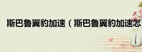 斯巴鲁翼豹加速（斯巴鲁翼豹加速怎么样）