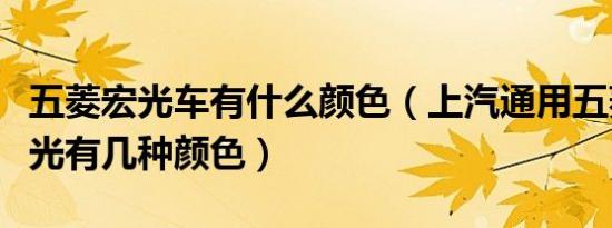 五菱宏光车有什么颜色（上汽通用五菱五菱宏光有几种颜色）
