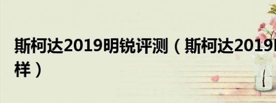 斯柯达2019明锐评测（斯柯达2019明锐怎么样）