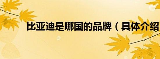 比亚迪是哪国的品牌（具体介绍）