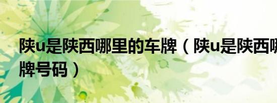 陕u是陕西哪里的车牌（陕u是陕西哪里的车牌号码）