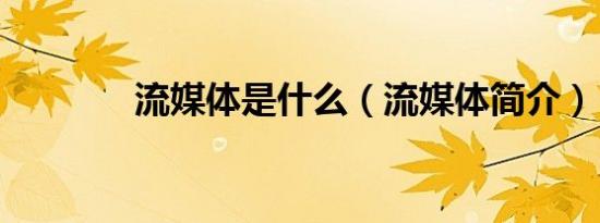 流媒体是什么（流媒体简介）