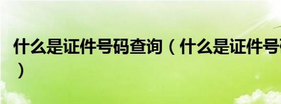 什么是证件号码查询（什么是证件号码在哪查）