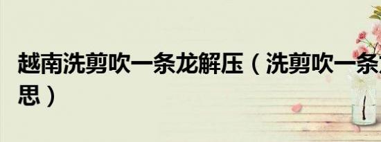 越南洗剪吹一条龙解压（洗剪吹一条龙什么意思）