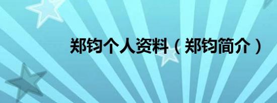 郑钧个人资料（郑钧简介）