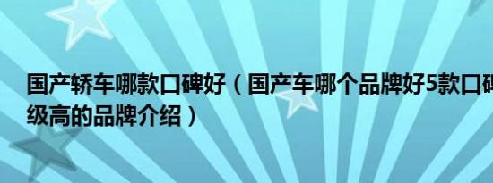 国产轿车哪款口碑好（国产车哪个品牌好5款口碑性价比超级高的品牌介绍）